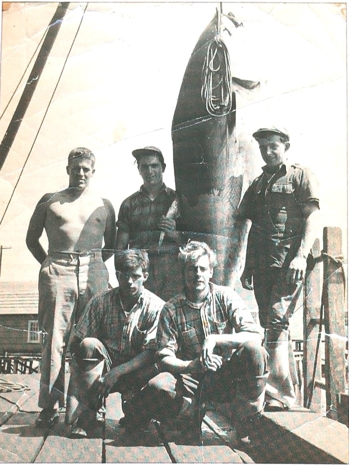 The men pose with a giant Bluefin Tuna
