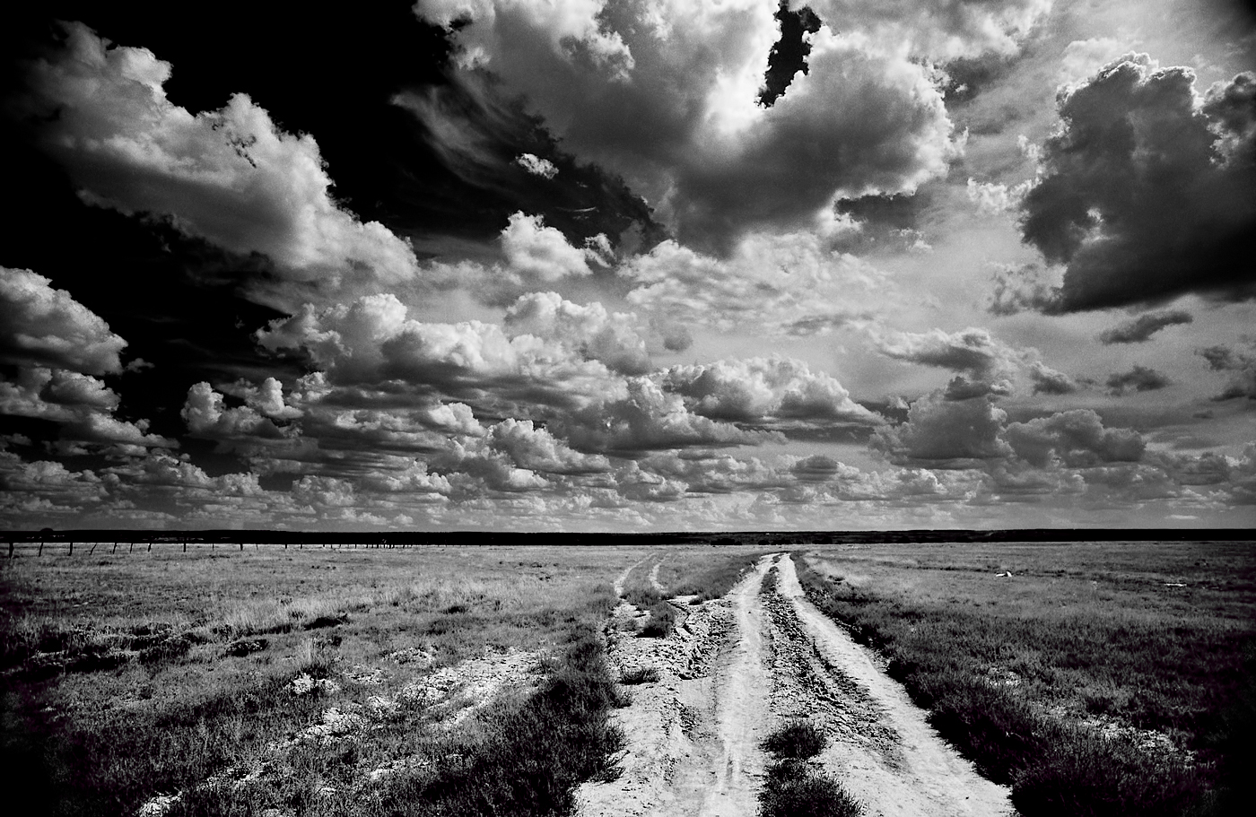"A camera didn’t make a great picture any more than a typewriter wrote a great novel.”