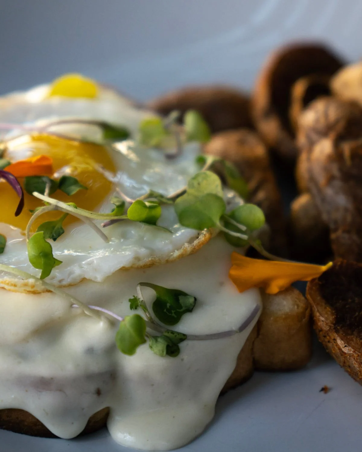Brunch Menu .jpg