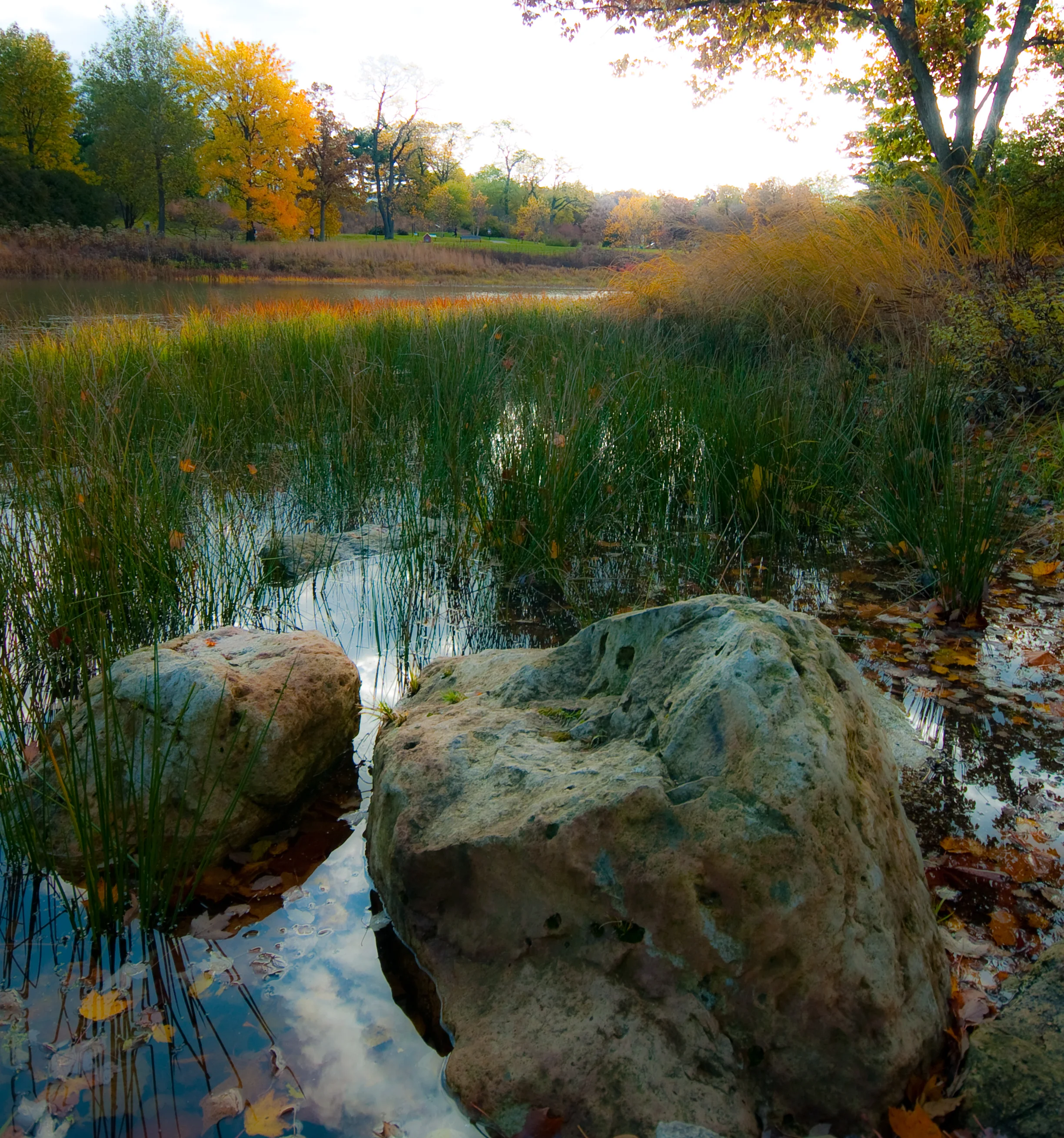 Morton Arboretum, Lisle, Illinois - by John Cornelissen