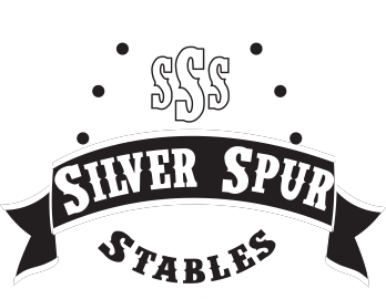 Silver Spur Stables - Andalusian Dressage Horse Breeder