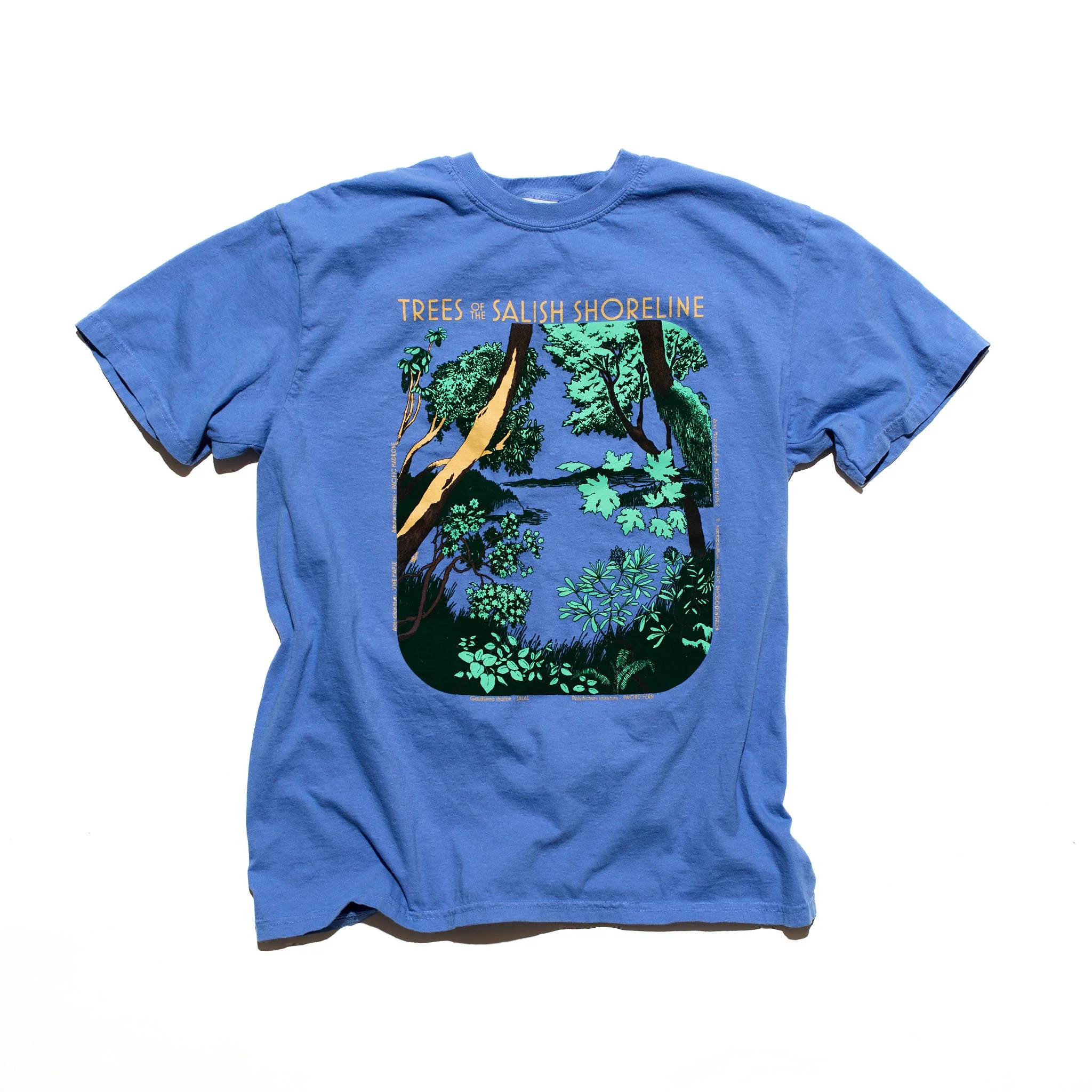 KJRprintshirtsWEB 1.jpg