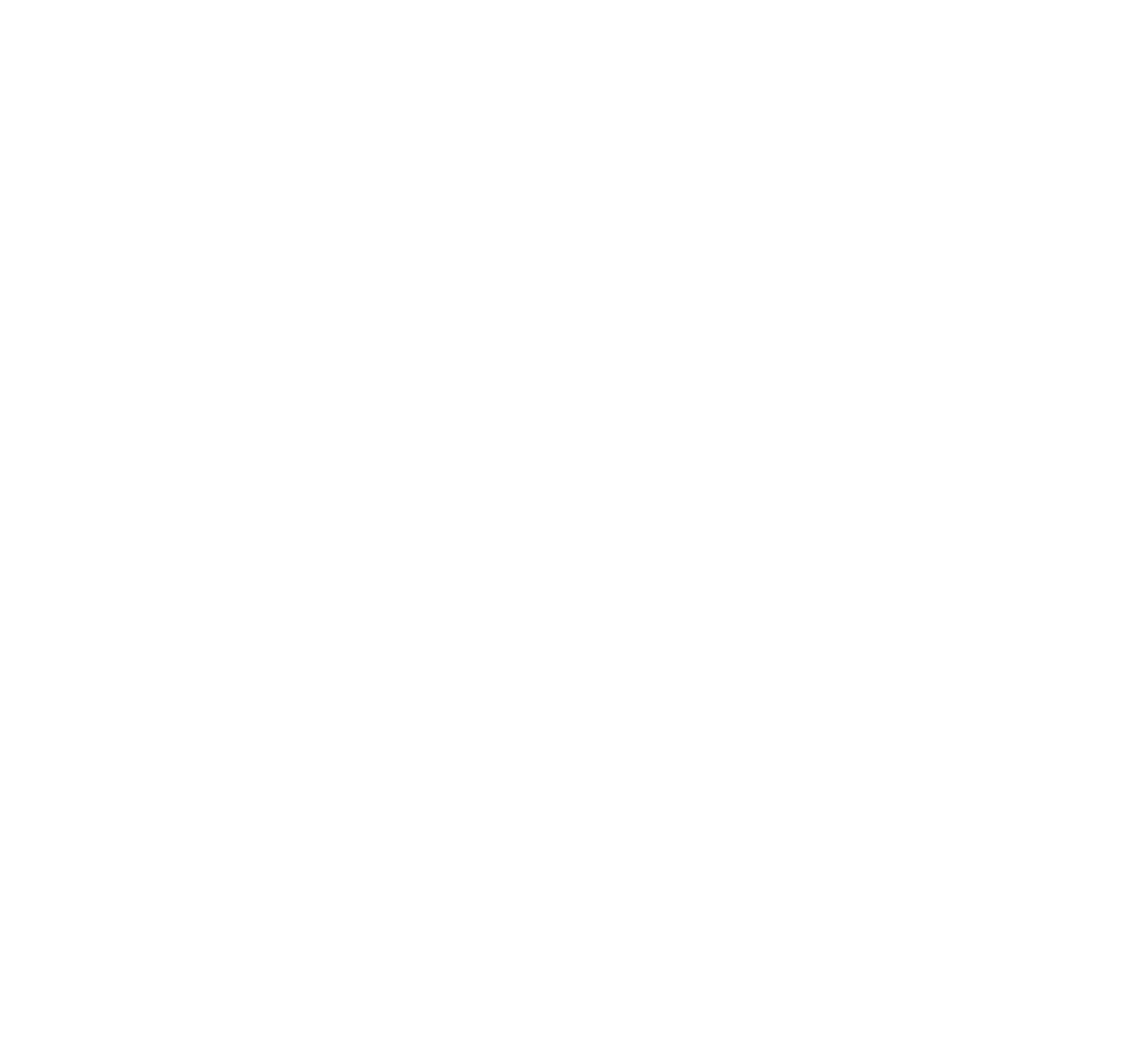 Cicada Studios 