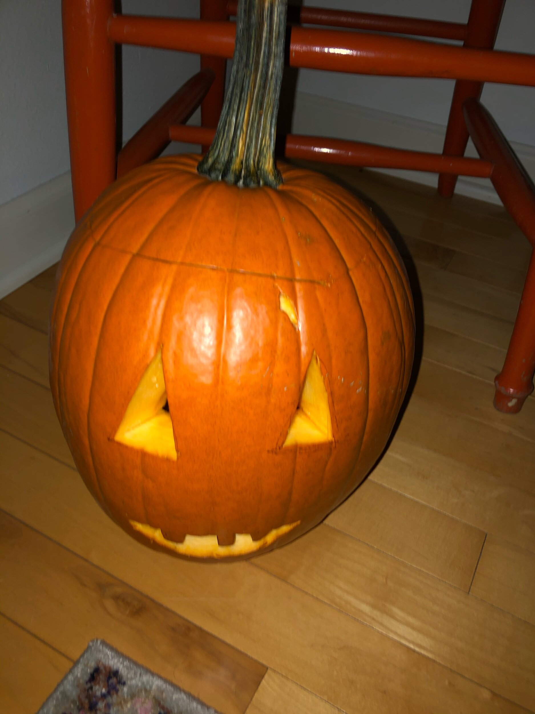 IMG_2856.jpeg