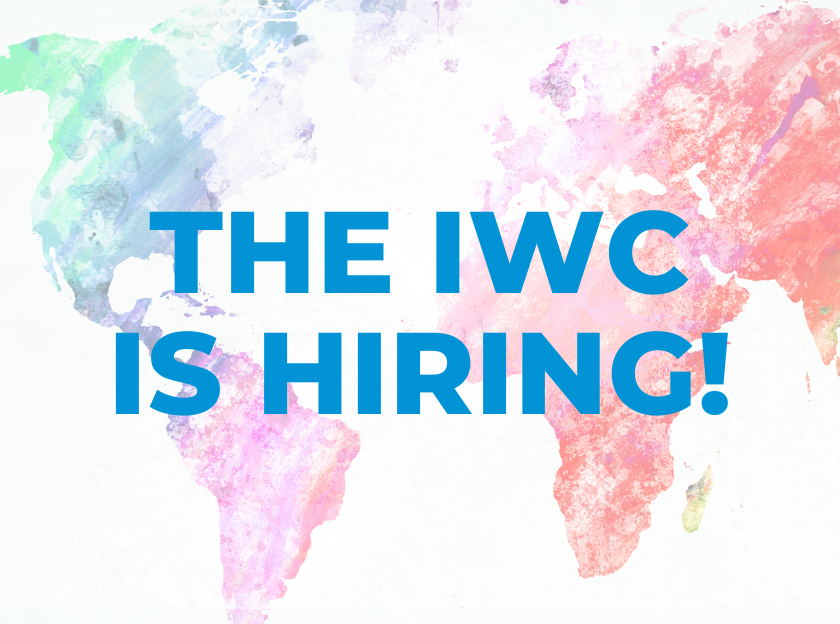 Greater Portland Immigrant Welcome Center Executive Director Job Search