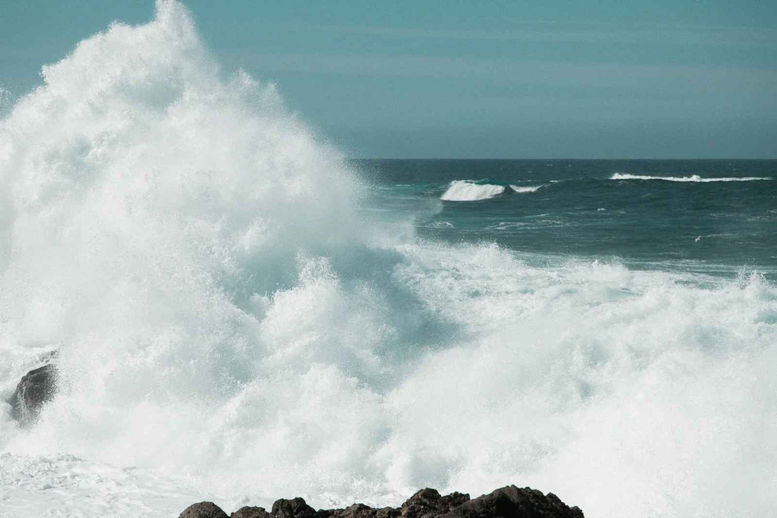 making-waves-brand-design.jpg
