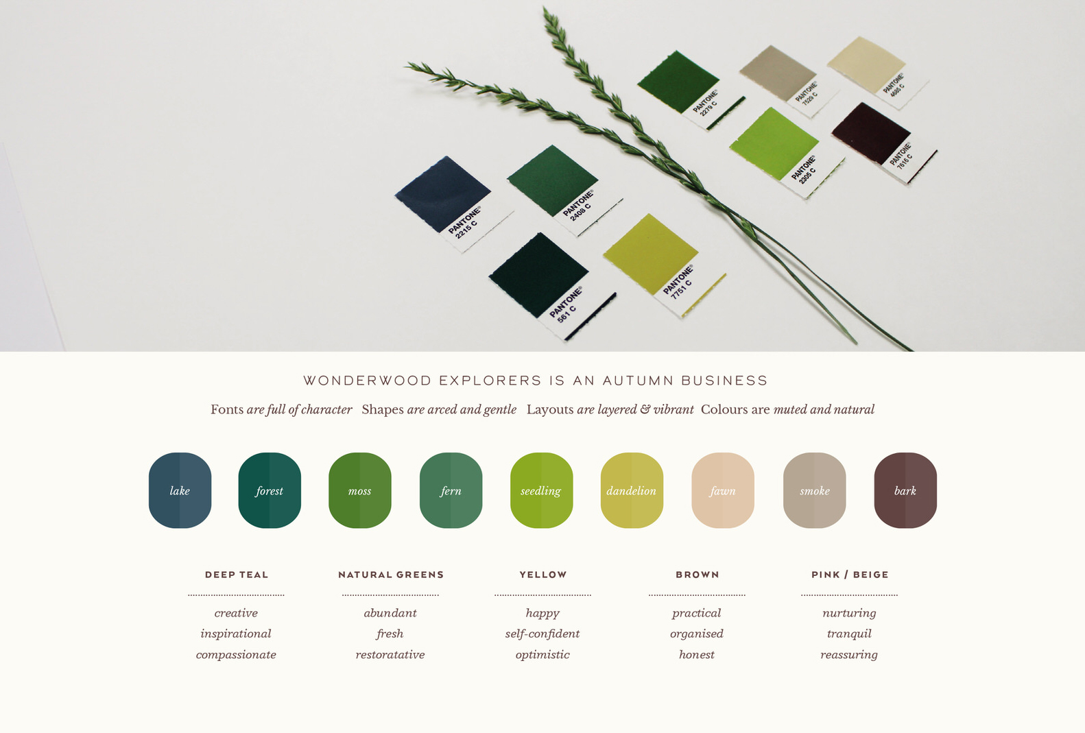branding-pantone-colour-palette.jpg