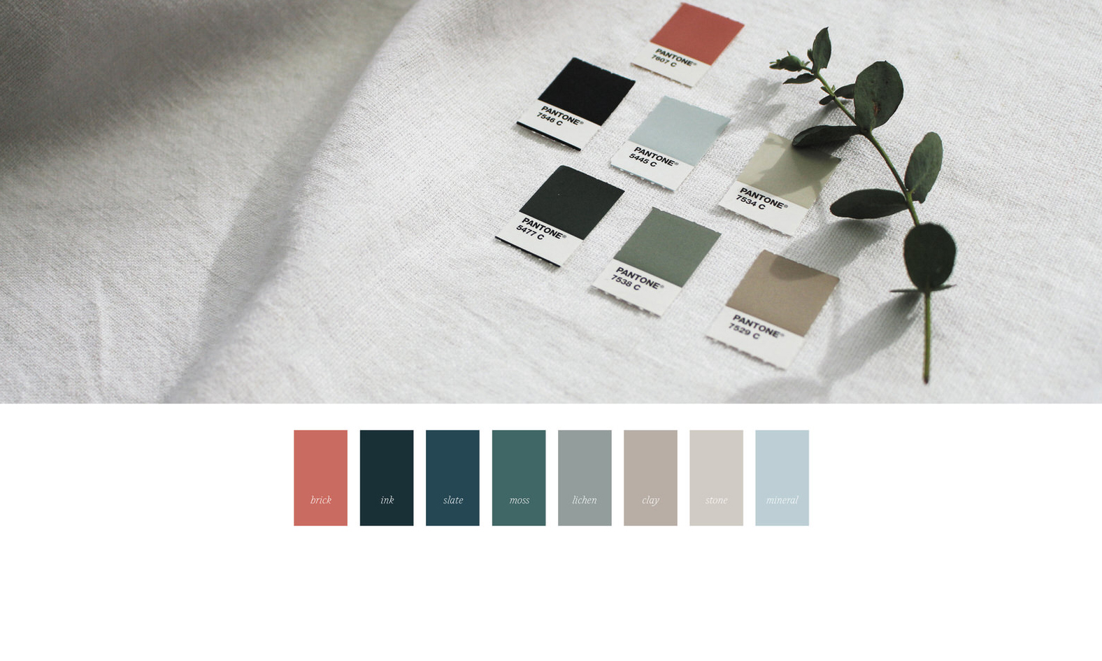 colour-psychology-branding.jpg