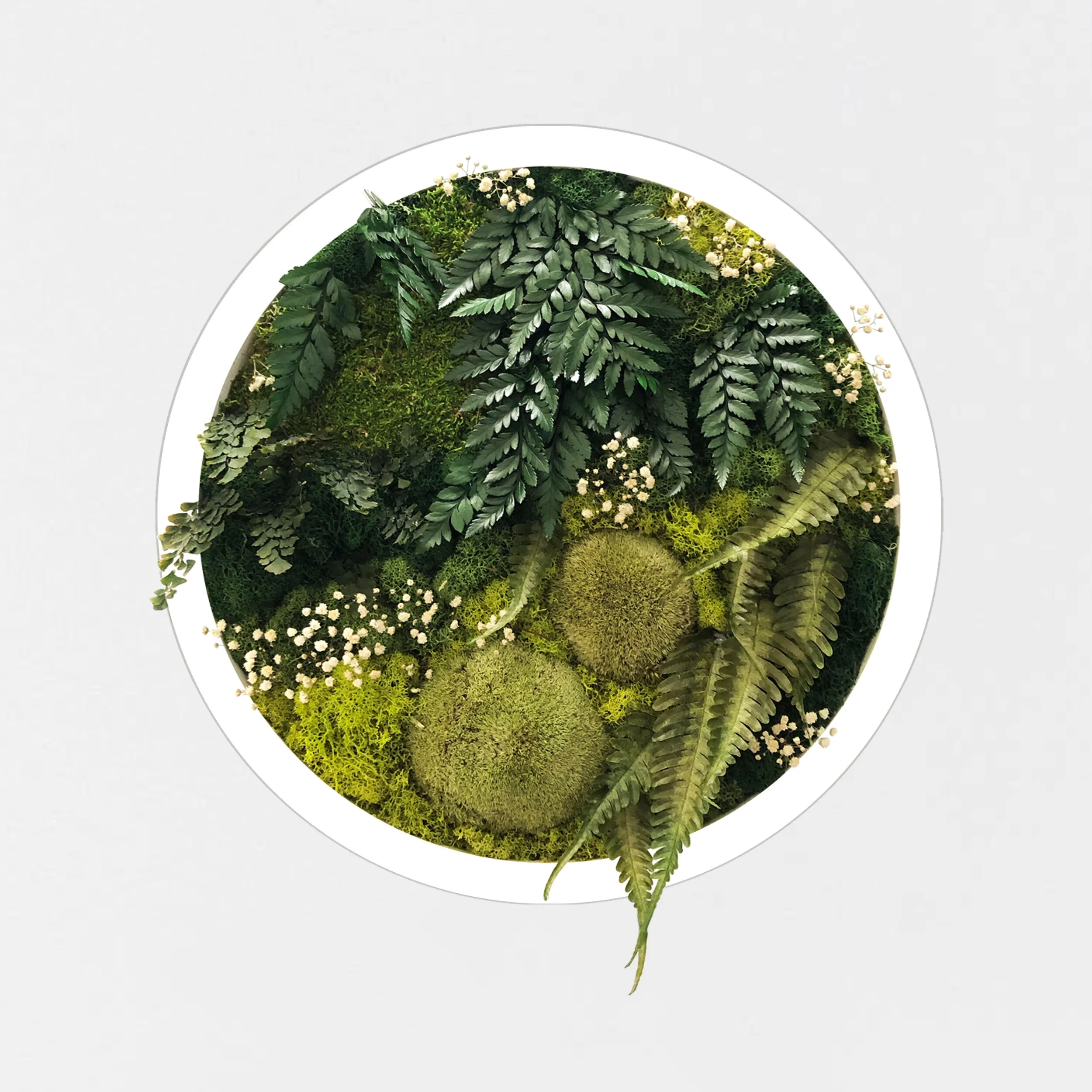 2 ROUND GREEN WALL.jpg