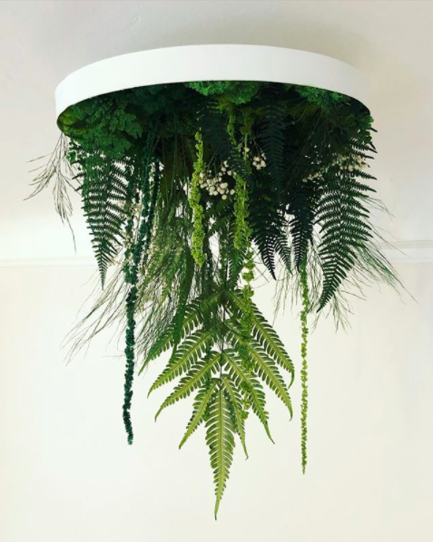 15" Hanging Sky Garden