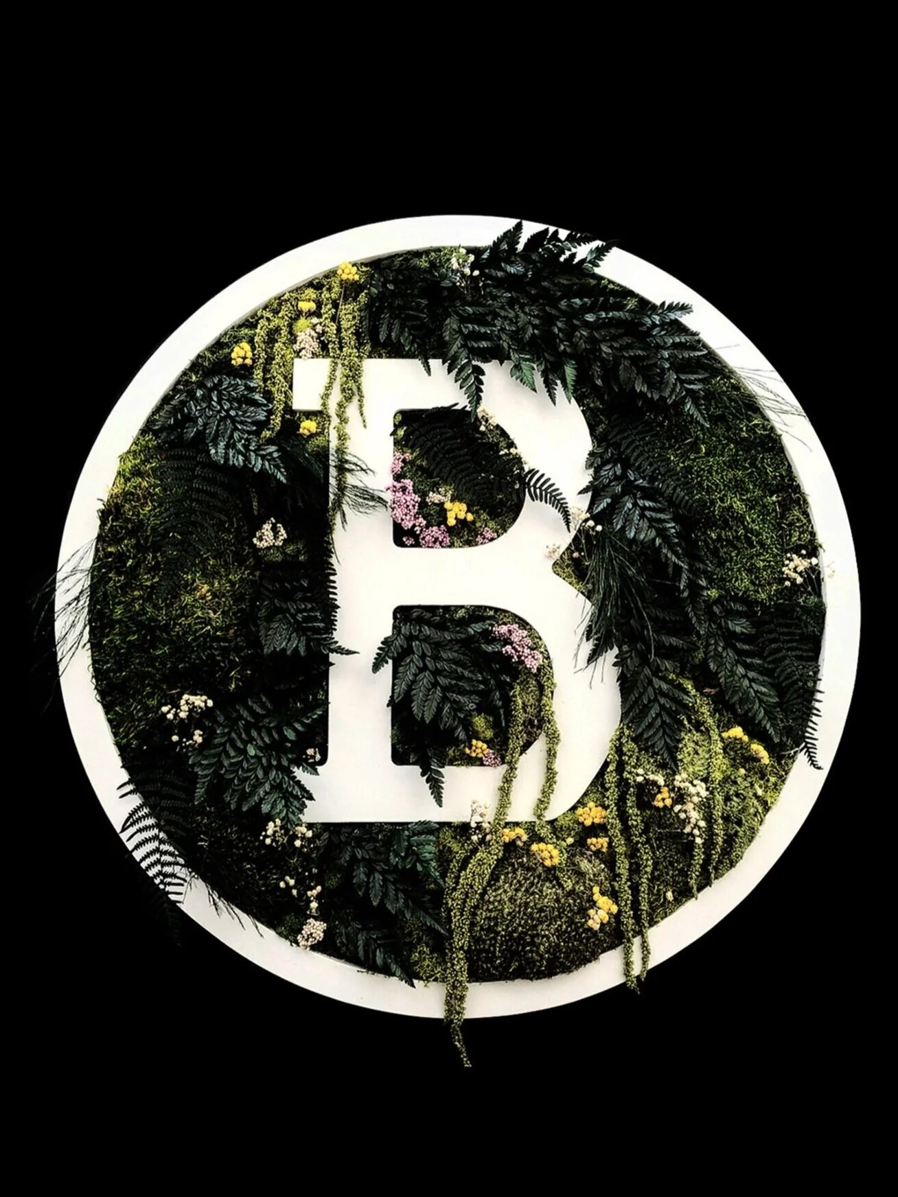 24"" Logo - Preserved Green Wall Art