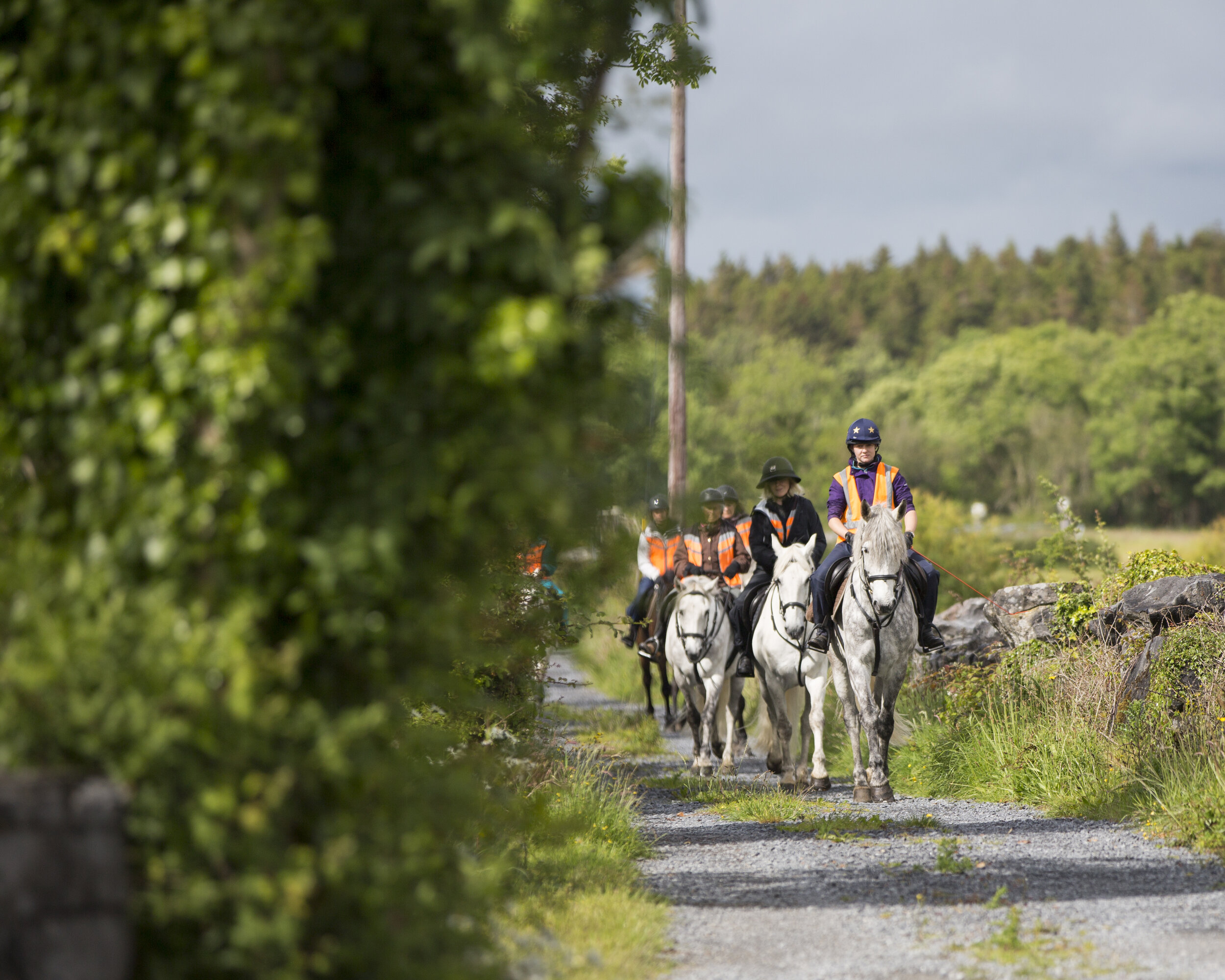 Curra Farm - Moycullen, Ireland