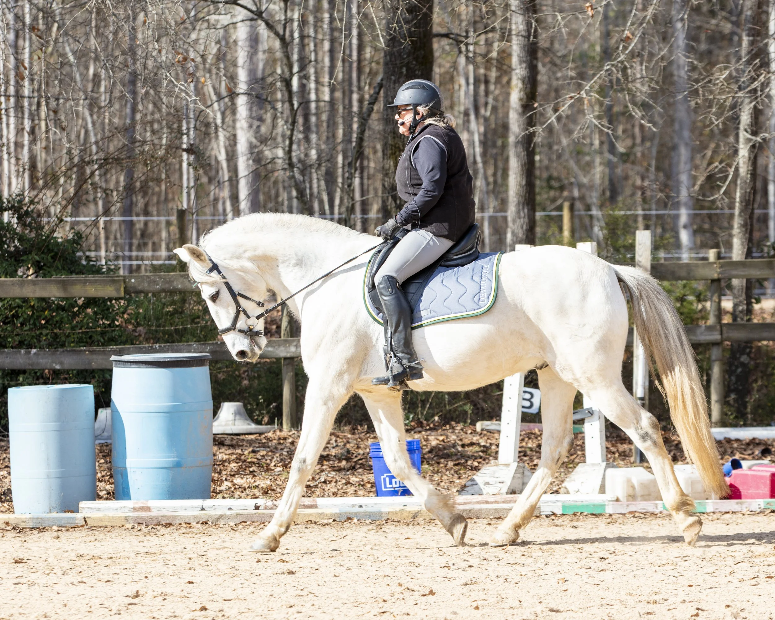 dressage-092.jpg
