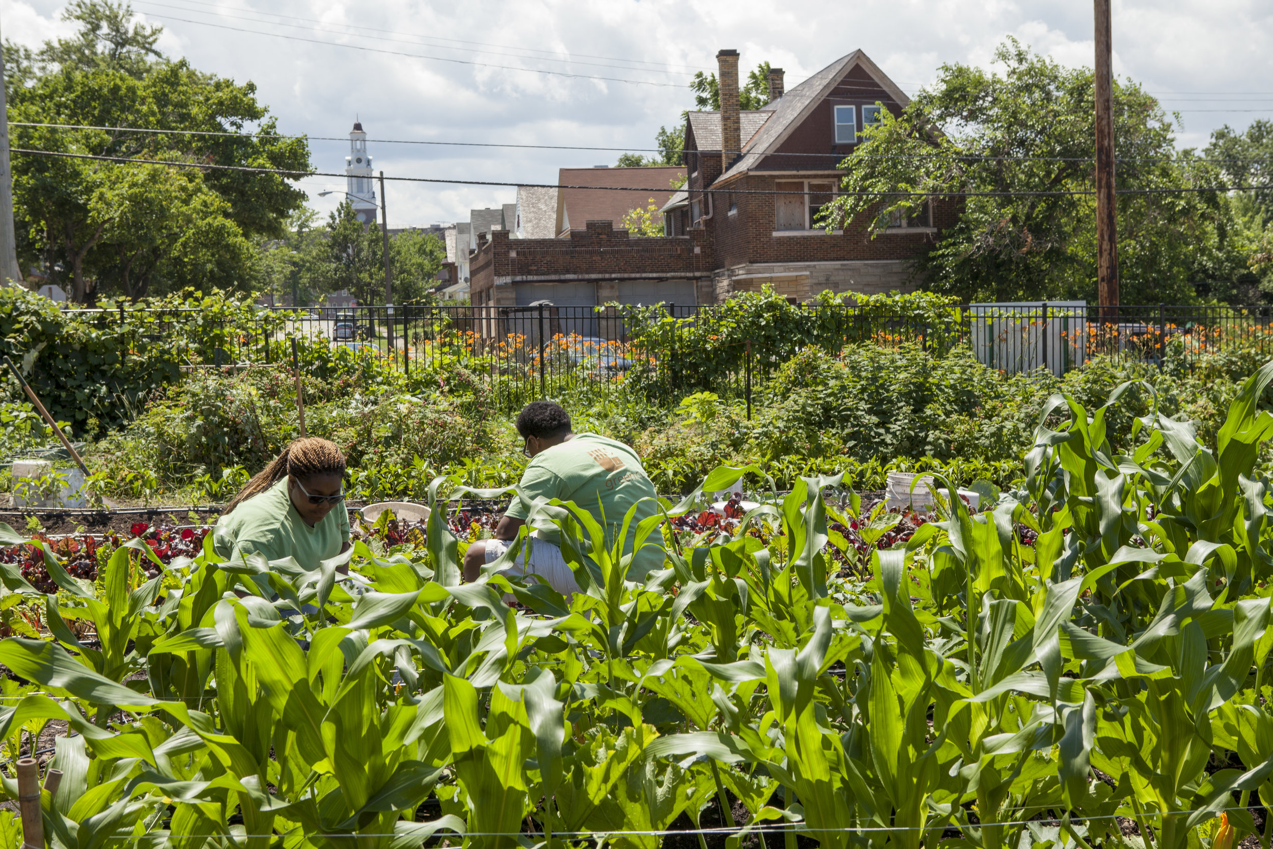  Efforts to green abandoned lots and create new parklands have help the Greater University Circle neighborhoods stem the tide of urban decay and outmigration in Cleveland.   