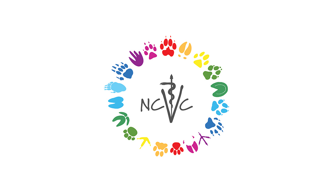 logo-export_0018_NCVC_logo.jpg