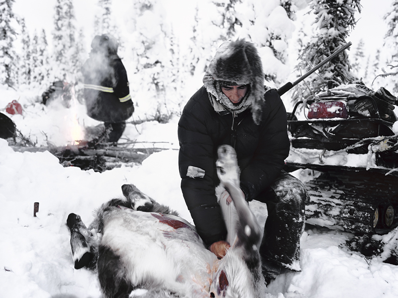 Photo Set White: Caribou Hunt—Jimmy John, Gwich’in and the Caribou, 2007 (Copy)