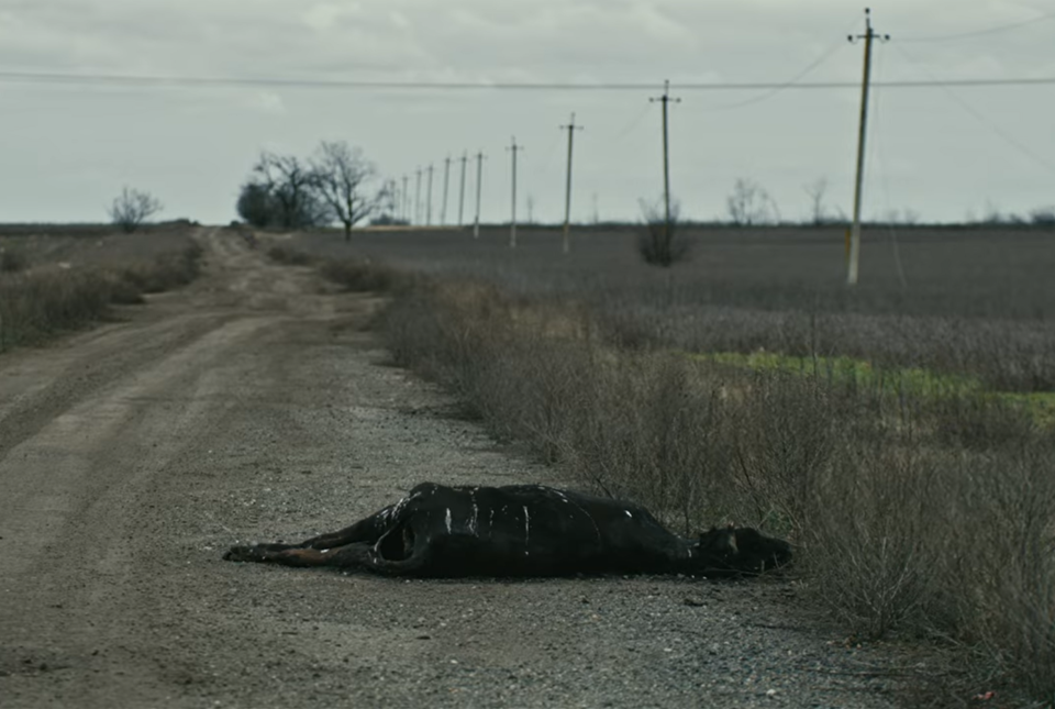 Art and Environmental Imperialism in Ukraine