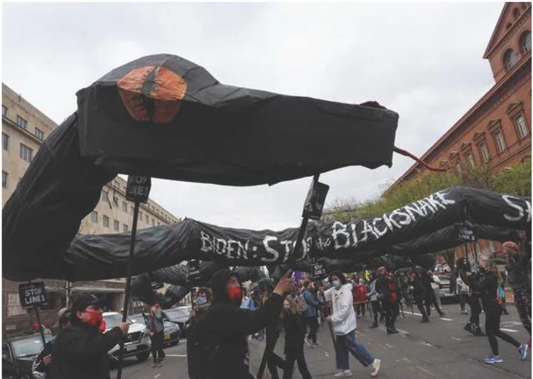 Protest Puppet Black Snake Protest Puppet — ENVIRONMENTAL JUSTICE ART MUSEUM