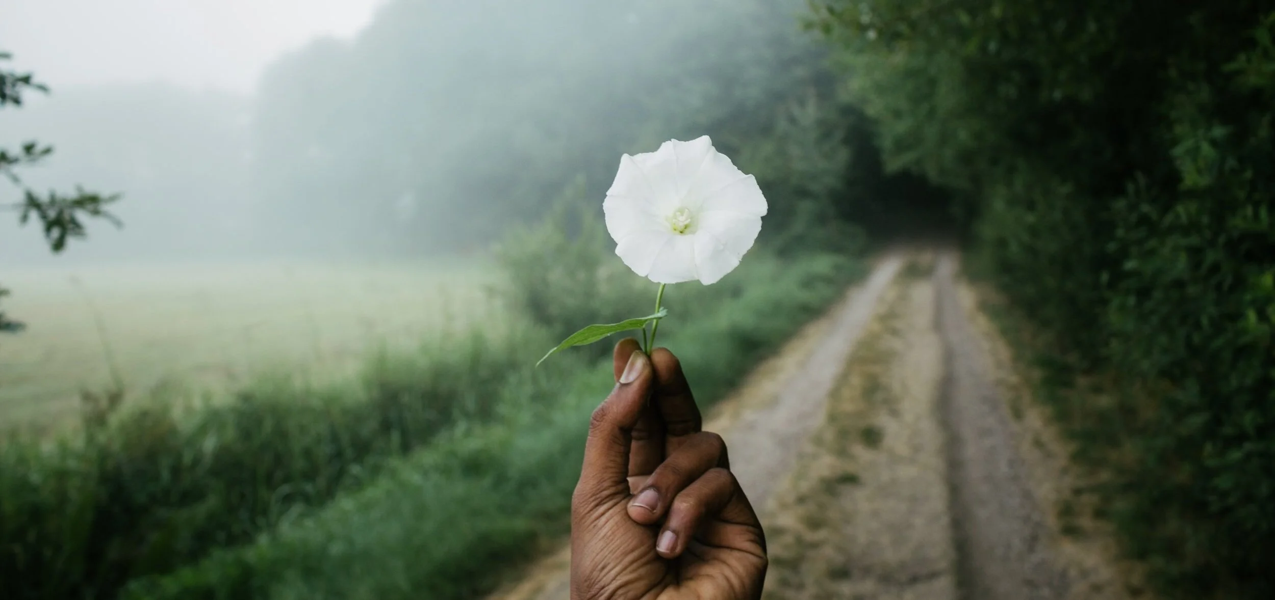 ibrahim-rifath-769965-unsplash.jpg