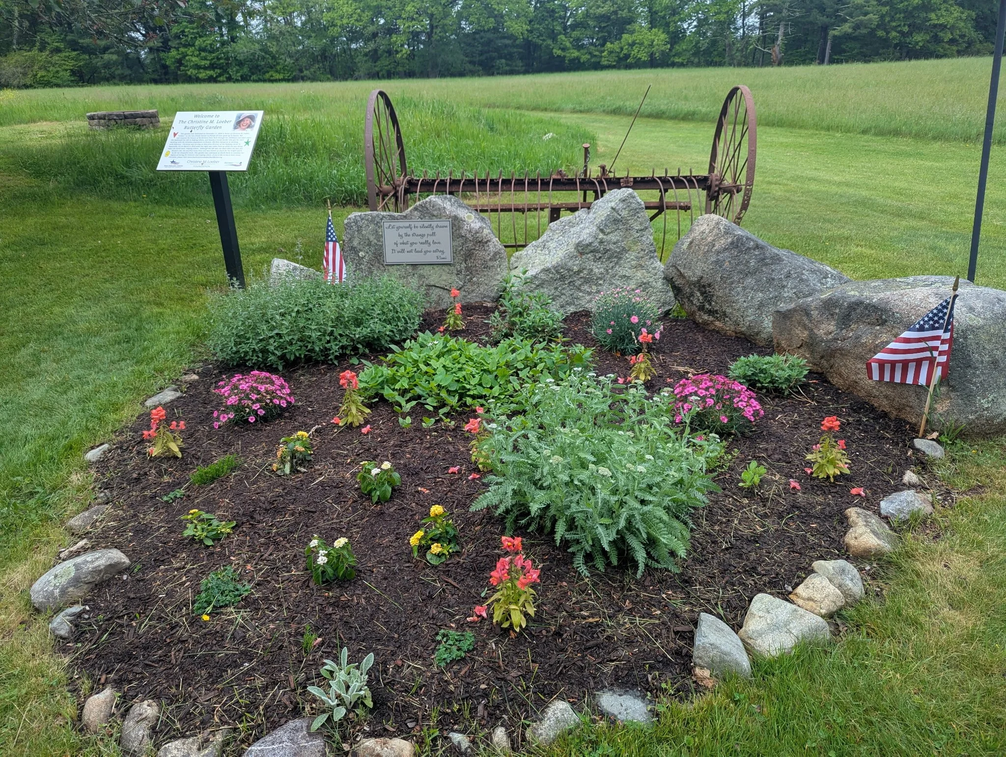 Garden 05-26.1.JPG