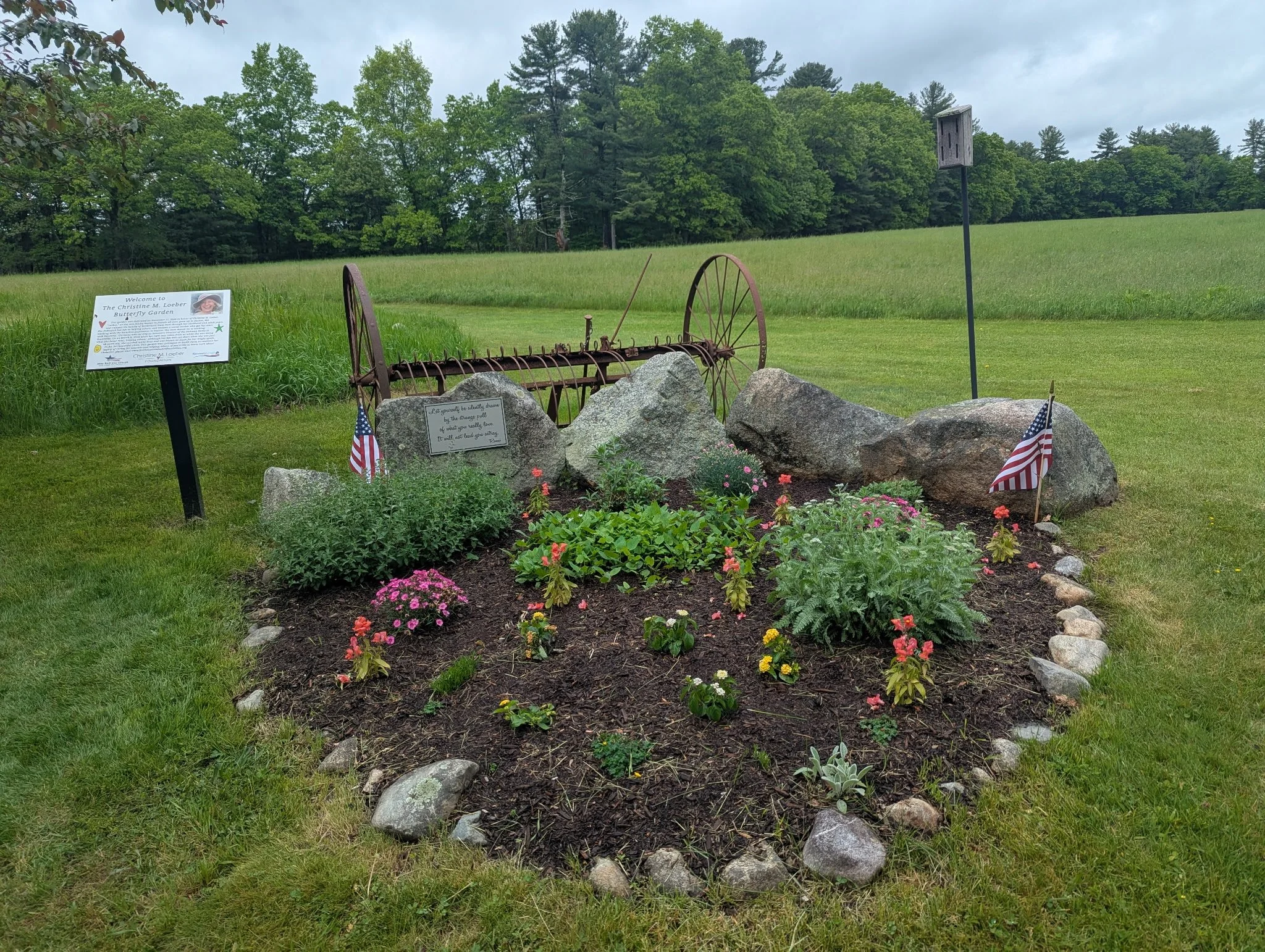Garden 05-26.JPG
