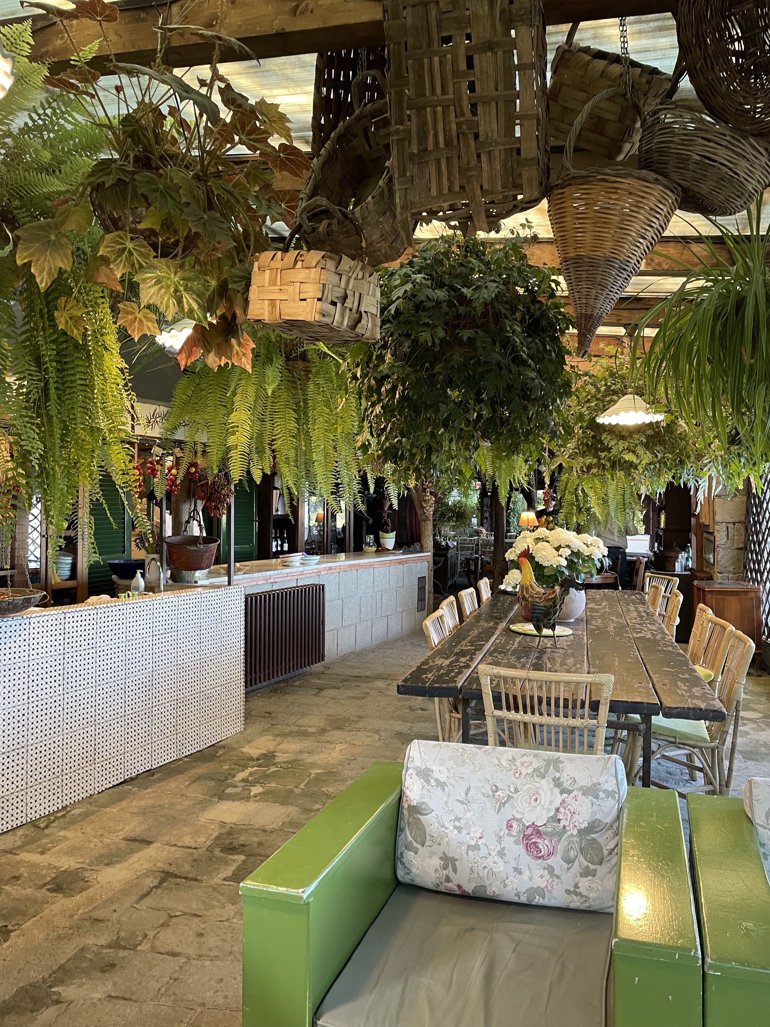 Inside of a restaurant space with lots of hanging plants