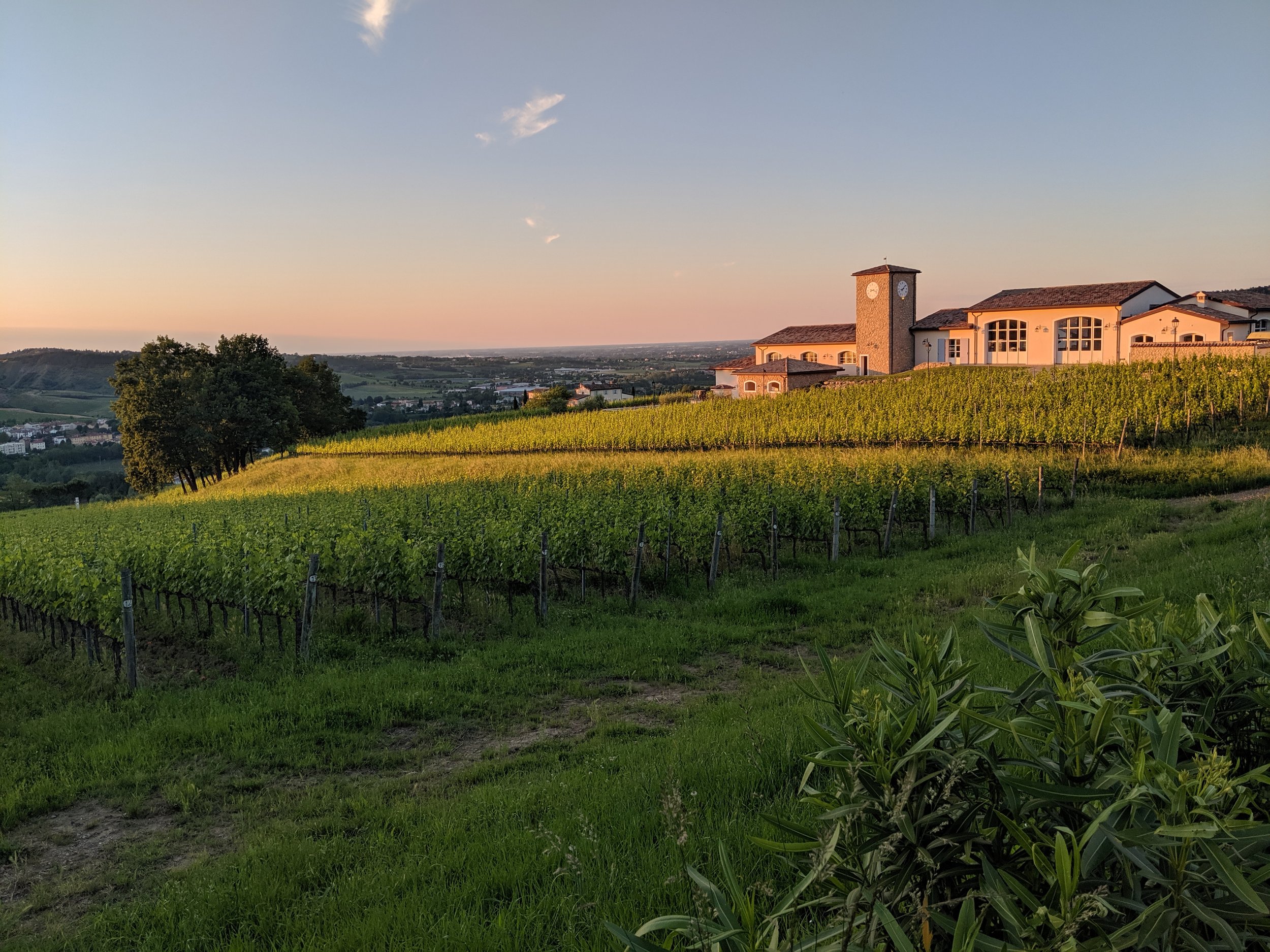 view of the tuscan countryside