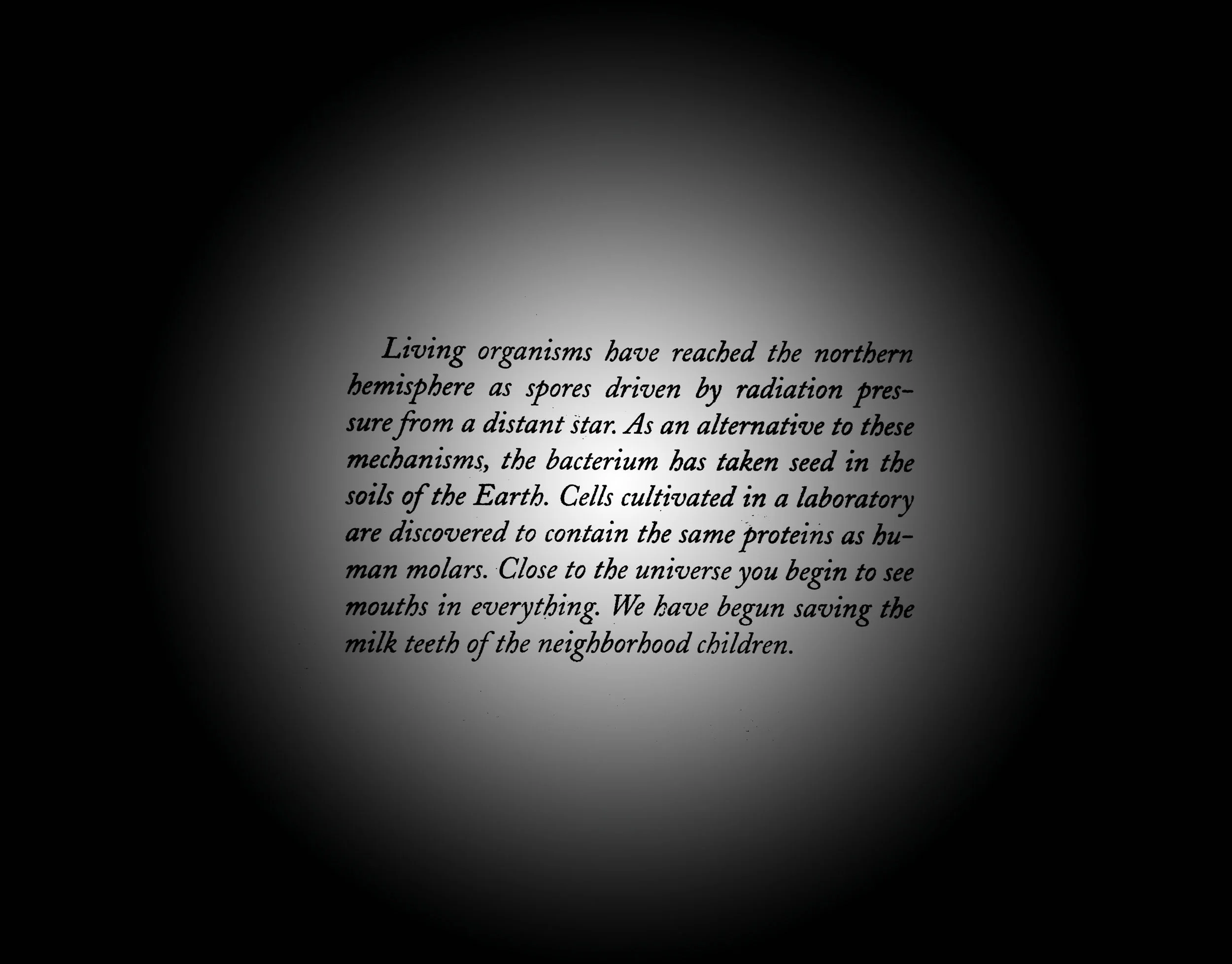 PANSPERMIA text 2.jpg