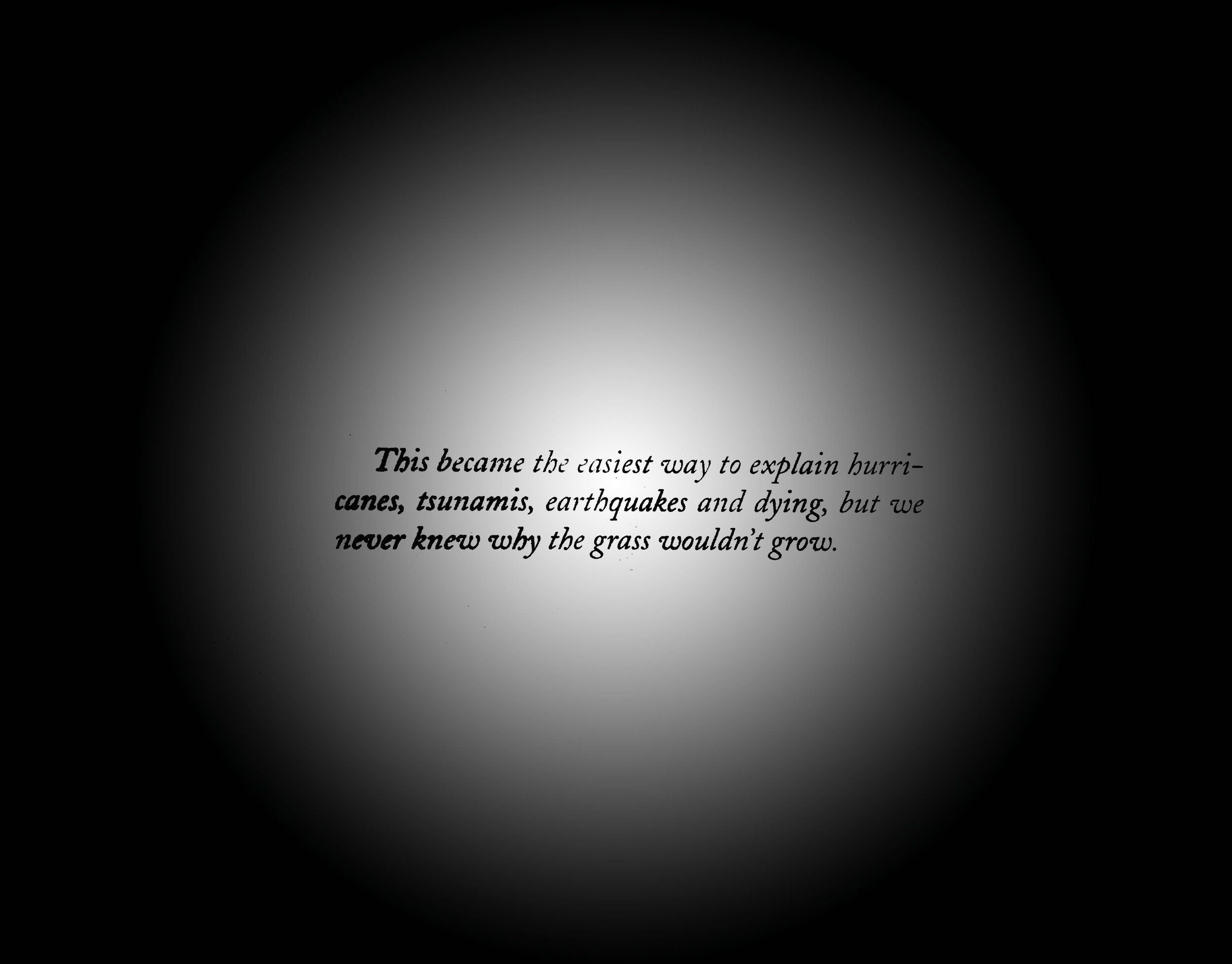 PANSPERMIA text 6.jpg