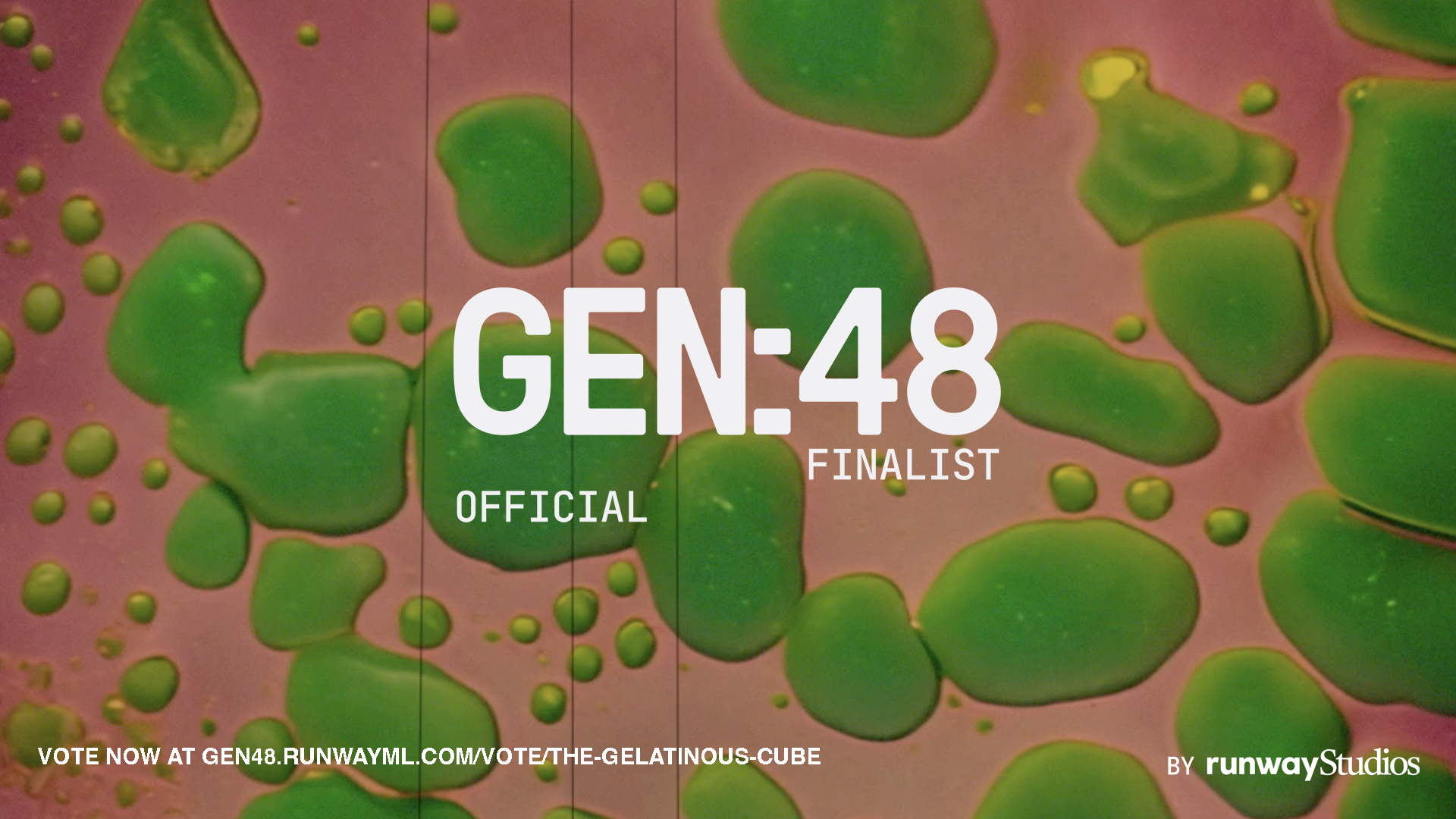 Finalist_badge_horizontal 4.png