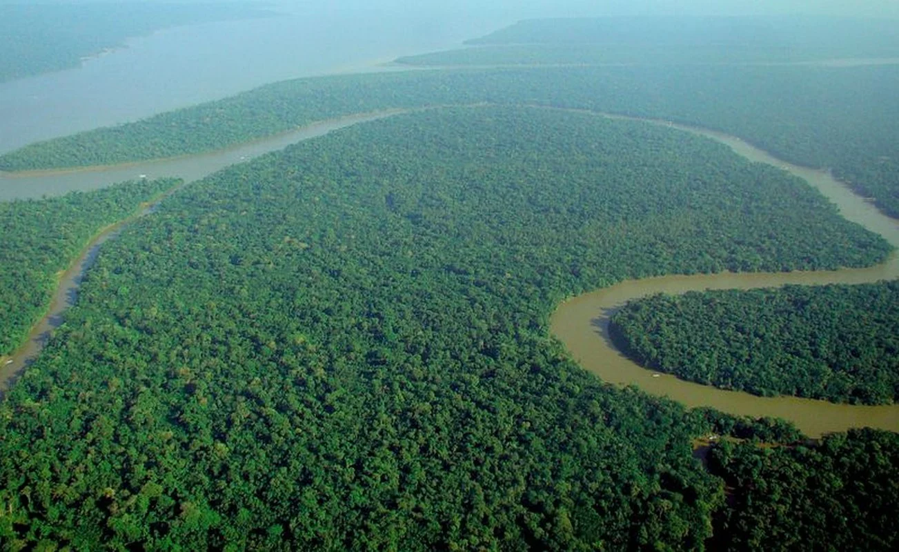Selva-Amazonas-en-Peru.jpg