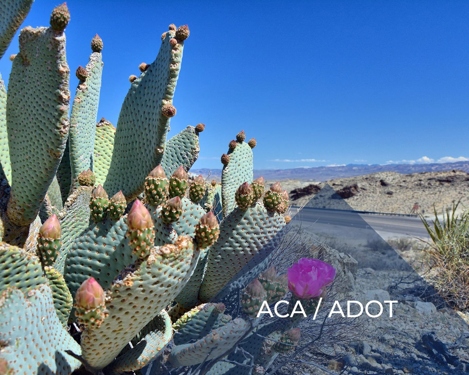 ACA / ADOT