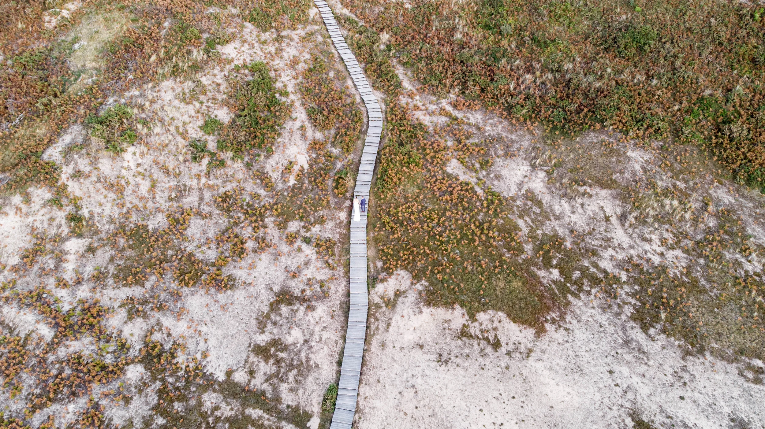 DJI_0142.jpg
