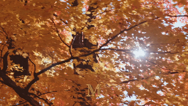 GIF 5.gif