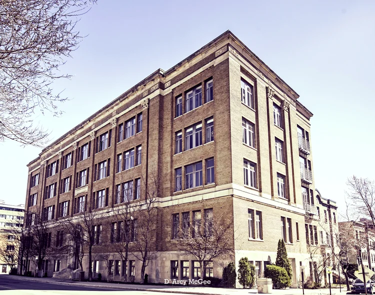 M on the mountain photo 6