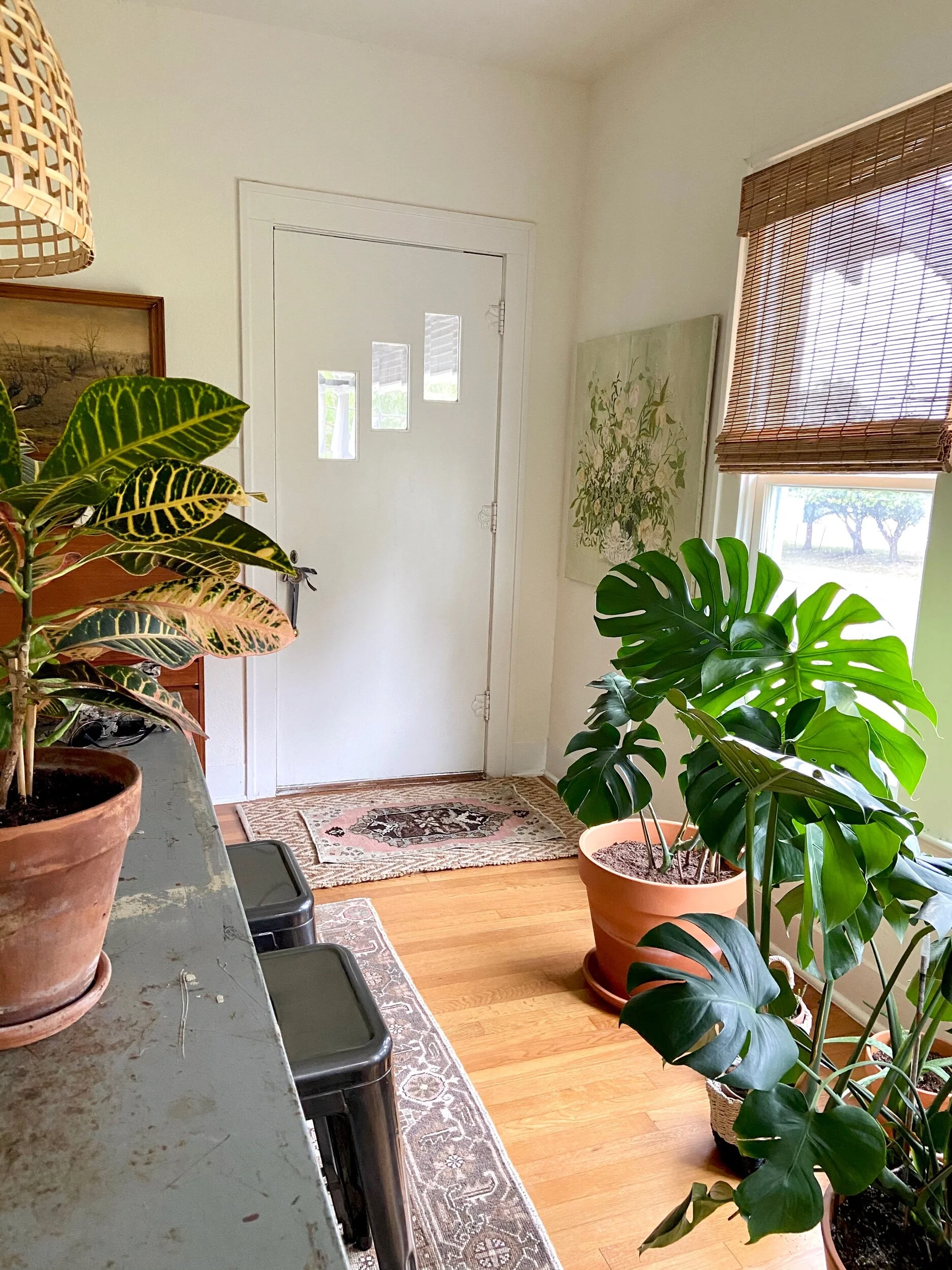 29796BEB-3D65-4B14-98C9-9B6BE8738E10