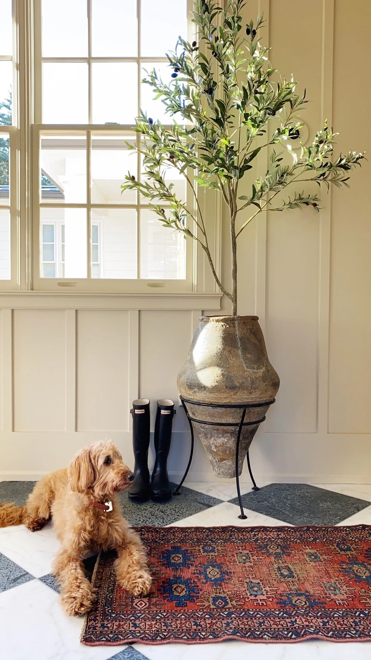 88E779C4-7AC1-42C7-A30F-35800C441589