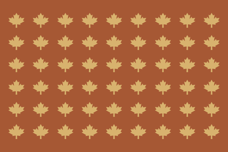 taps-fond-du-lac-graphic-designer.png