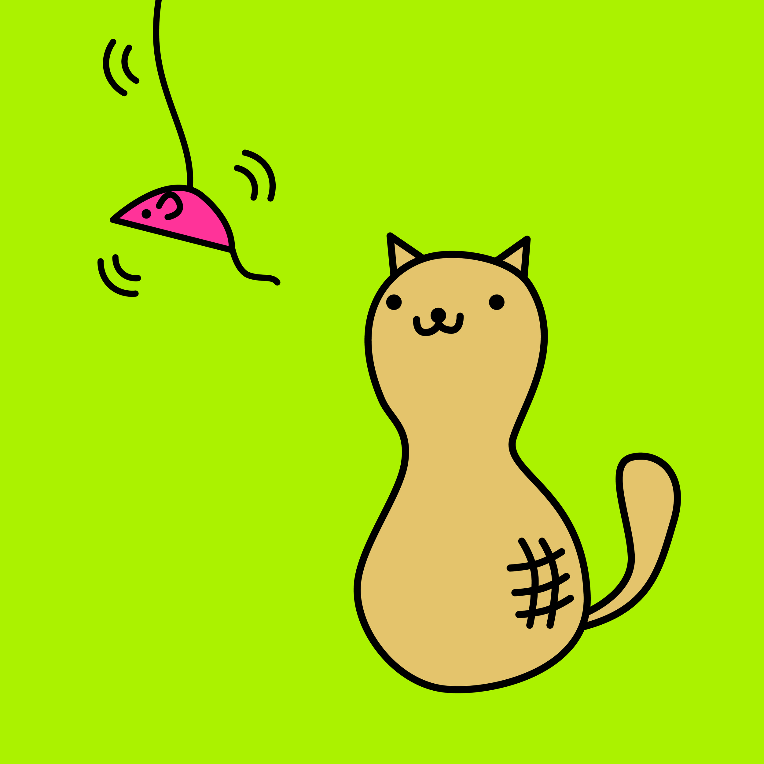 cat_peanut.png