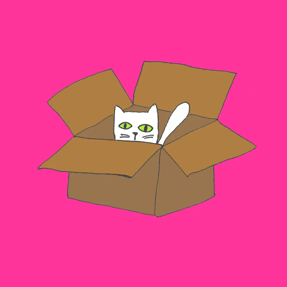 Catbox.jpg