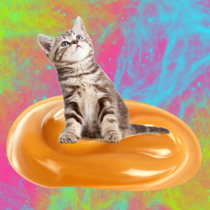 CatCaramel.jpg