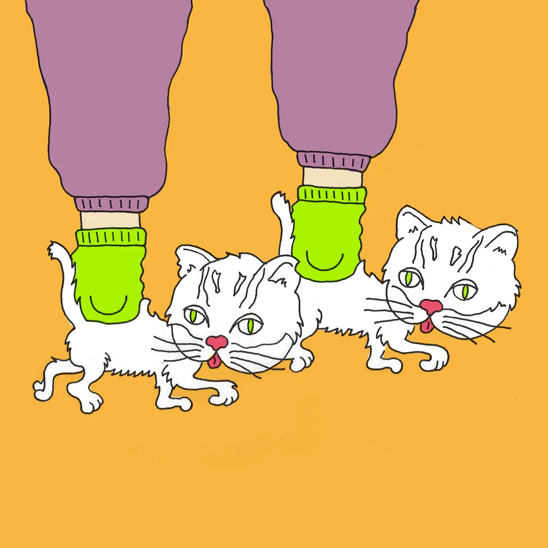 T5_KittenSneakers.jpg
