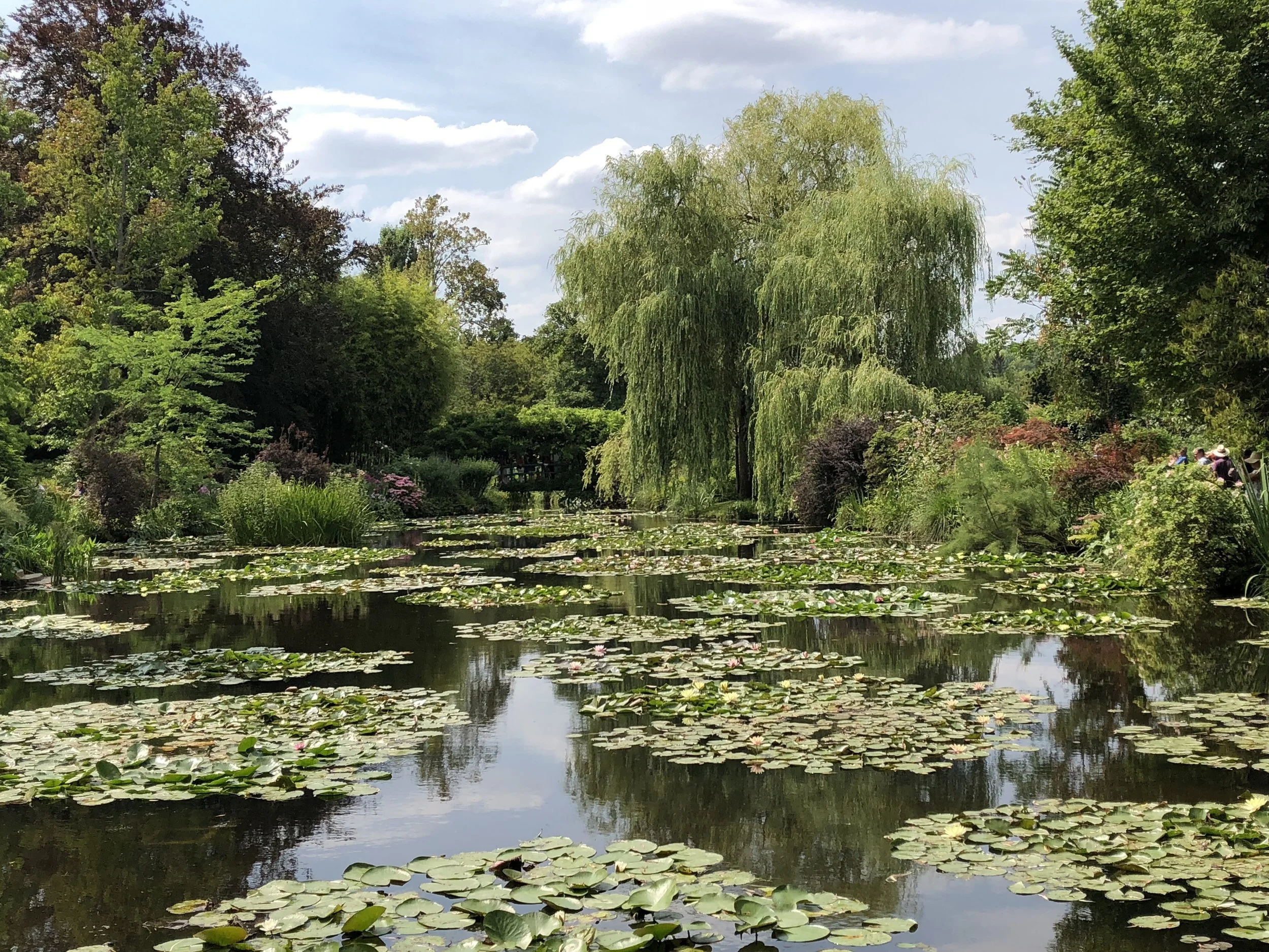 Monets Pond 2.jpeg