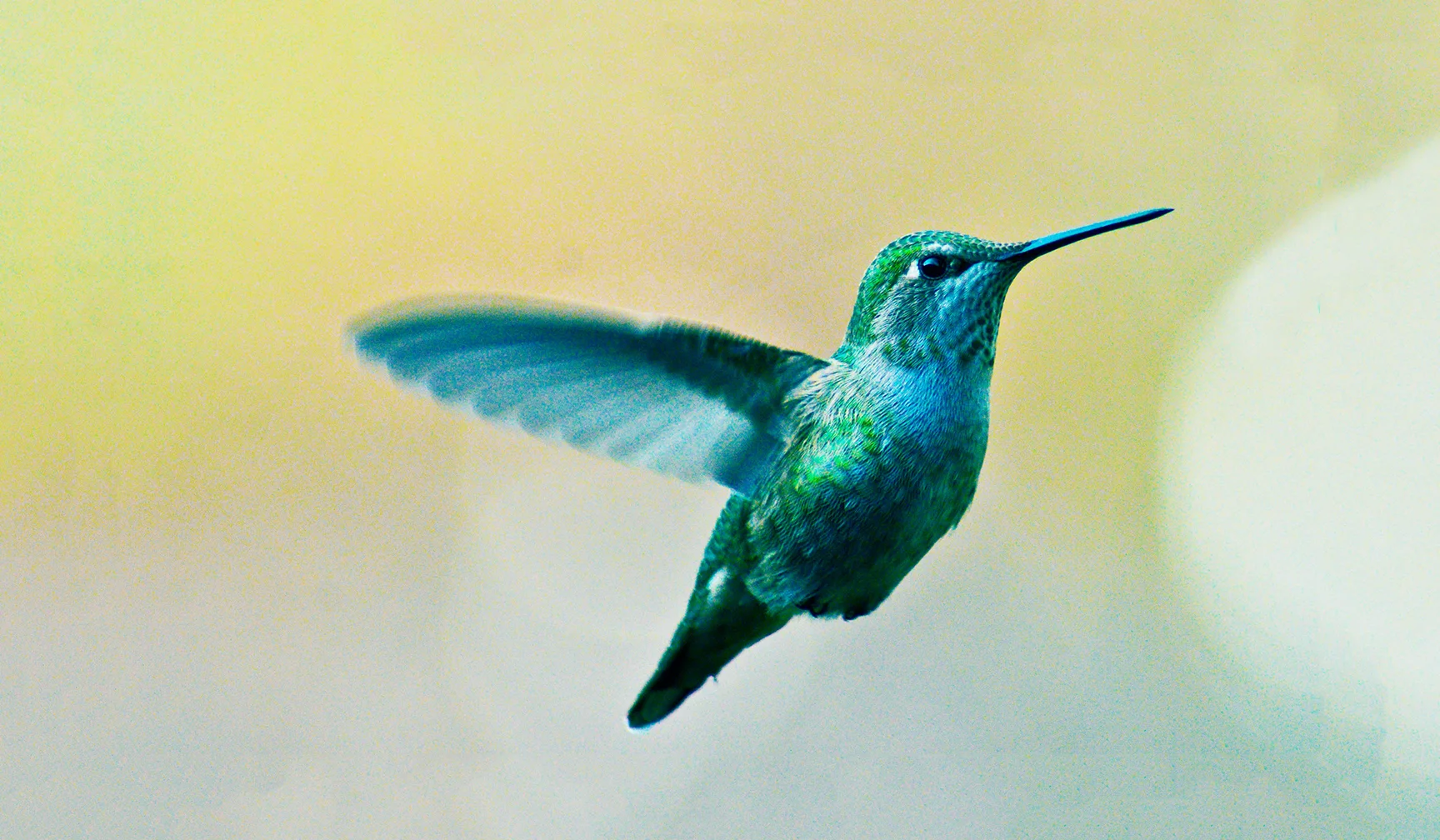 Emotional Healing Through Energy and Music