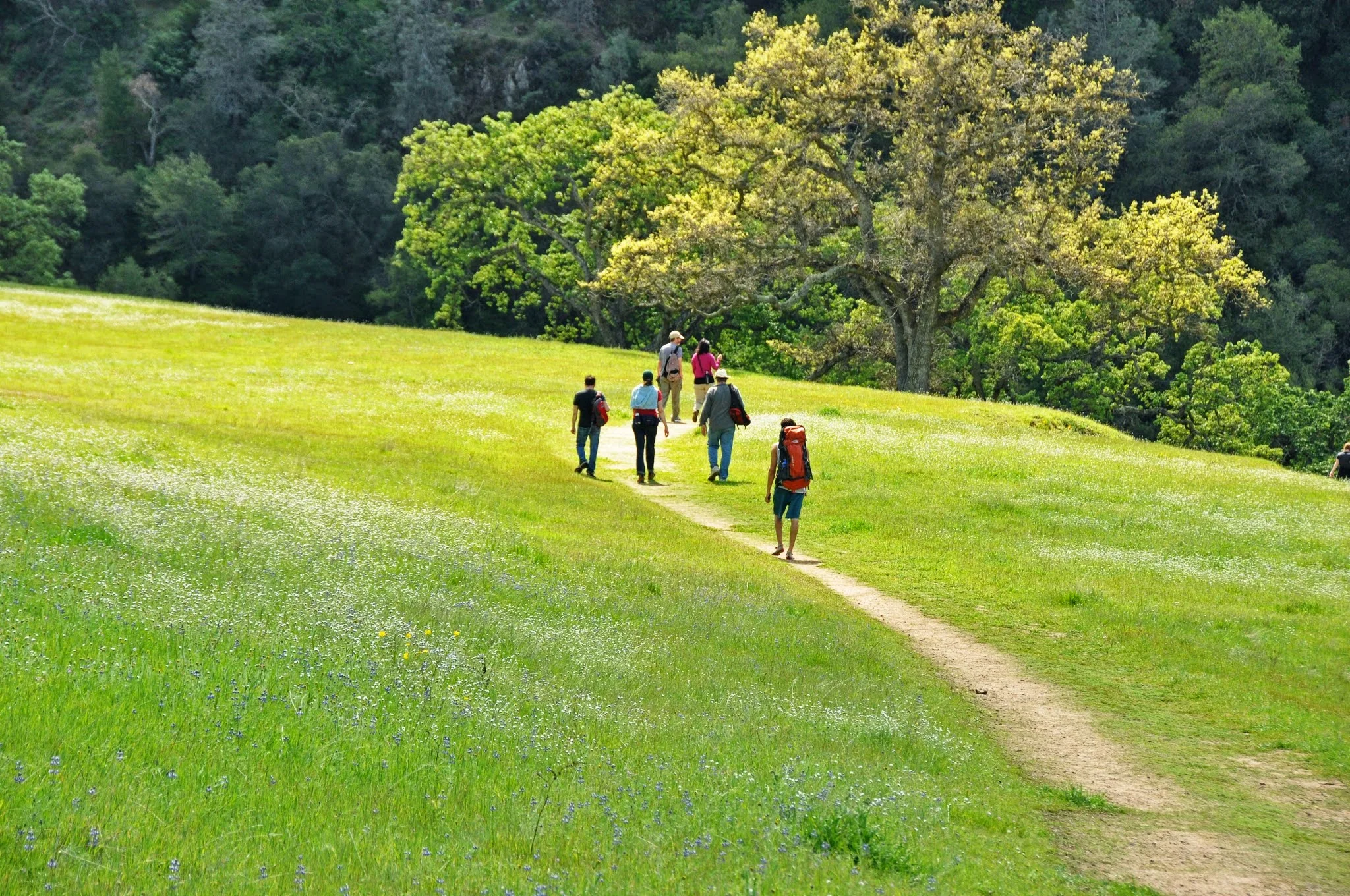 Spirit &amp; Nature: A Nature Outing for All Ages