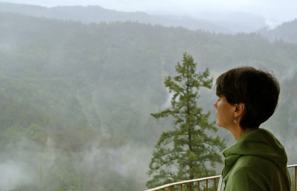 The Language of the Heart: How to Develop Your Intuition