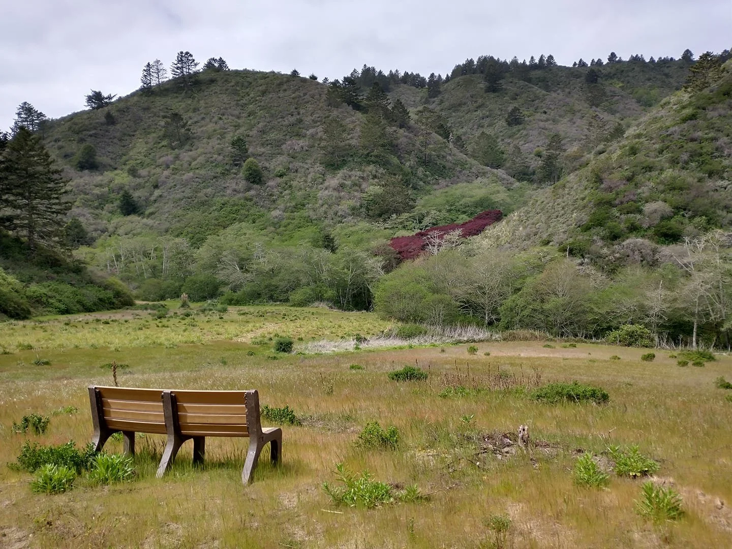  Relax &amp; Rejuvenate : A Wellness Retreat in Nature