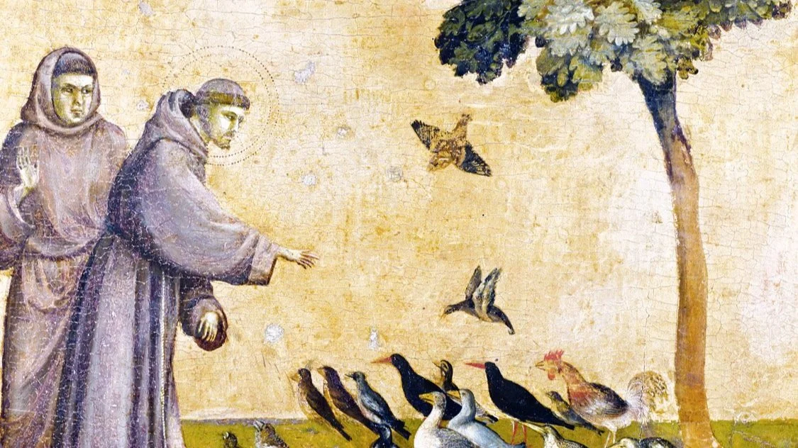 The Life of St. Francis