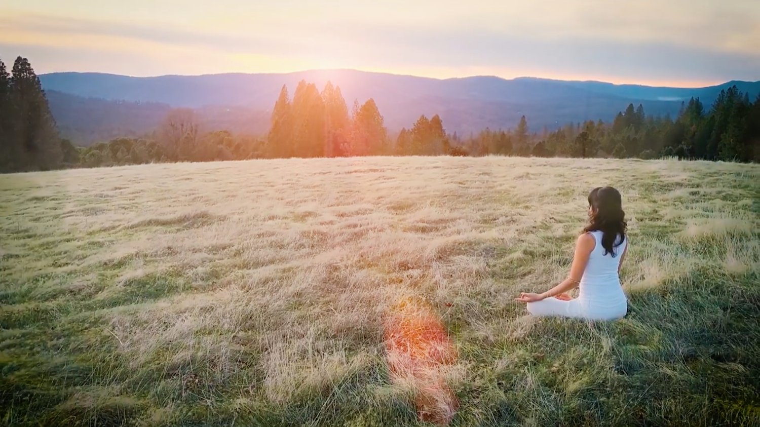 Kriya Review (for those initiated into Kriya yoga)