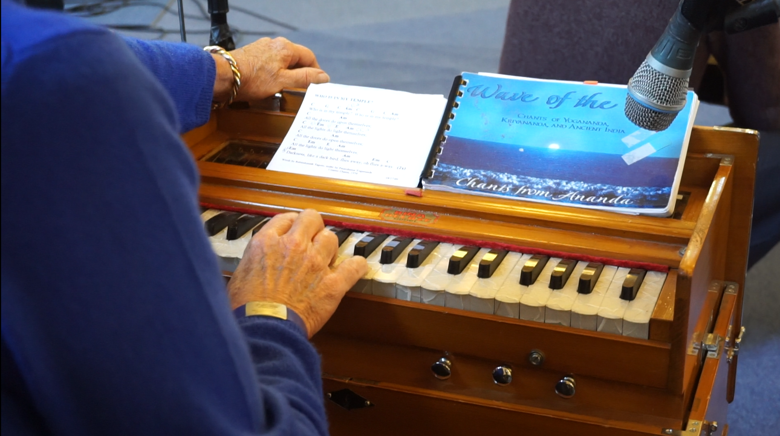 Harmonium close-up.png
